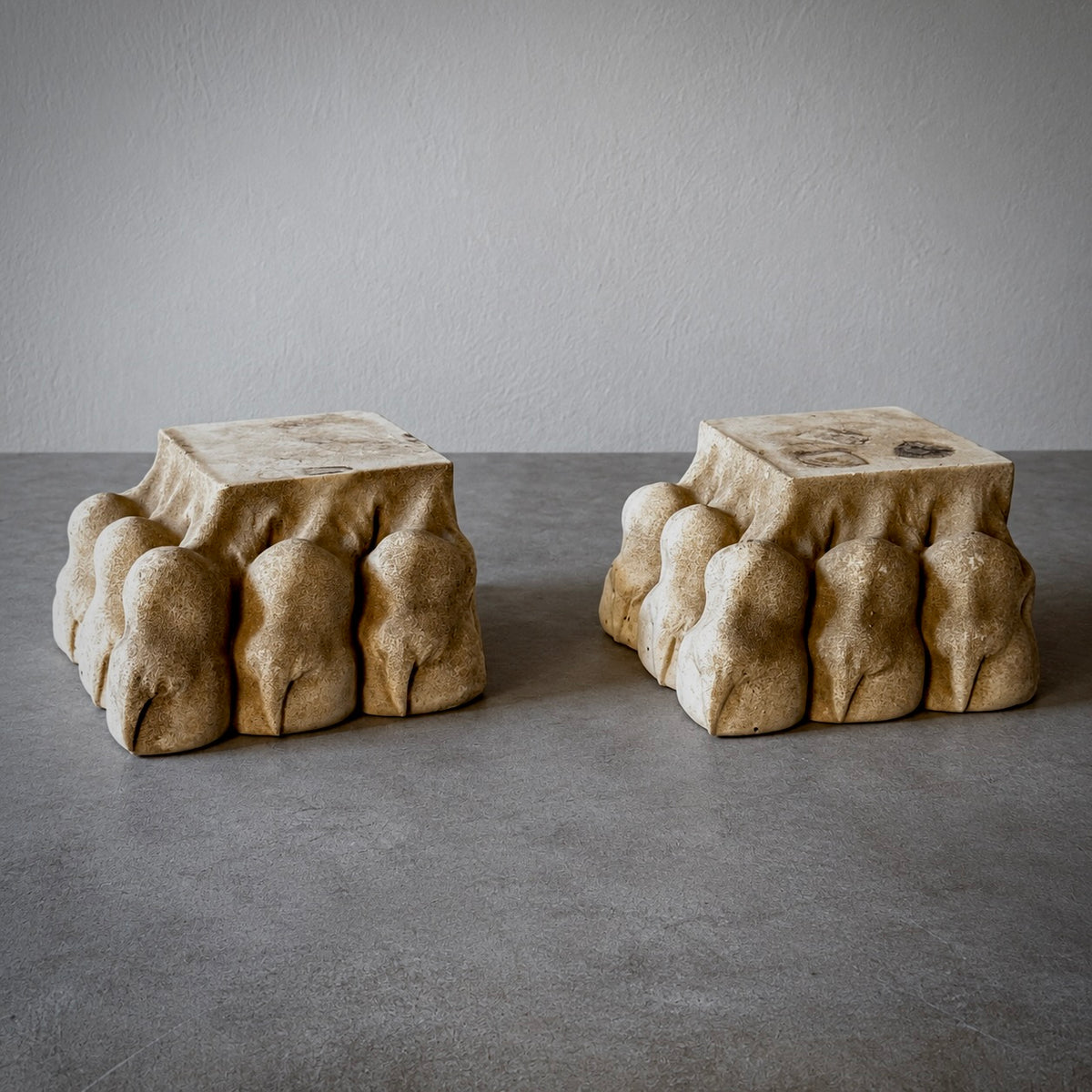 Pair of sculptural carved stone lions pawswith organic rounded forms and warm natural patina.