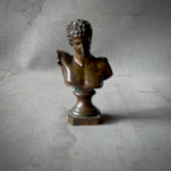 Bronze Bust