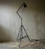 Adjustable Tripod Floor Lamp