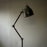 Adjustable Tripod Floor Lamp