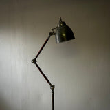 Adjustable Tripod Floor Lamp