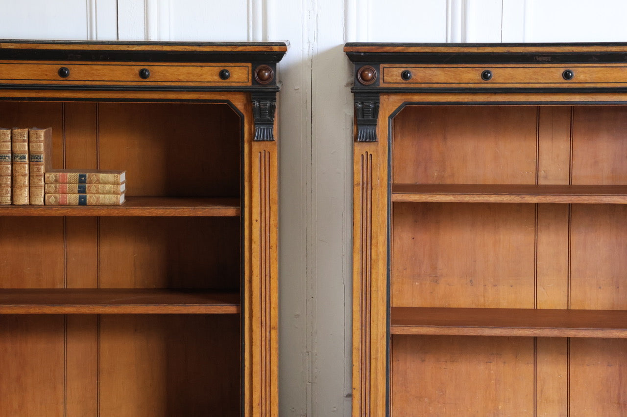 Pair of Bookcases