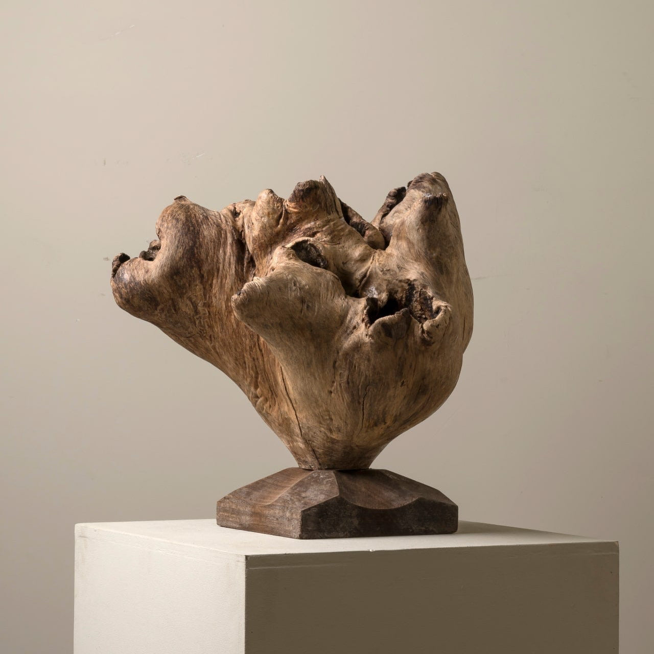Sculptural Burl Wood Form