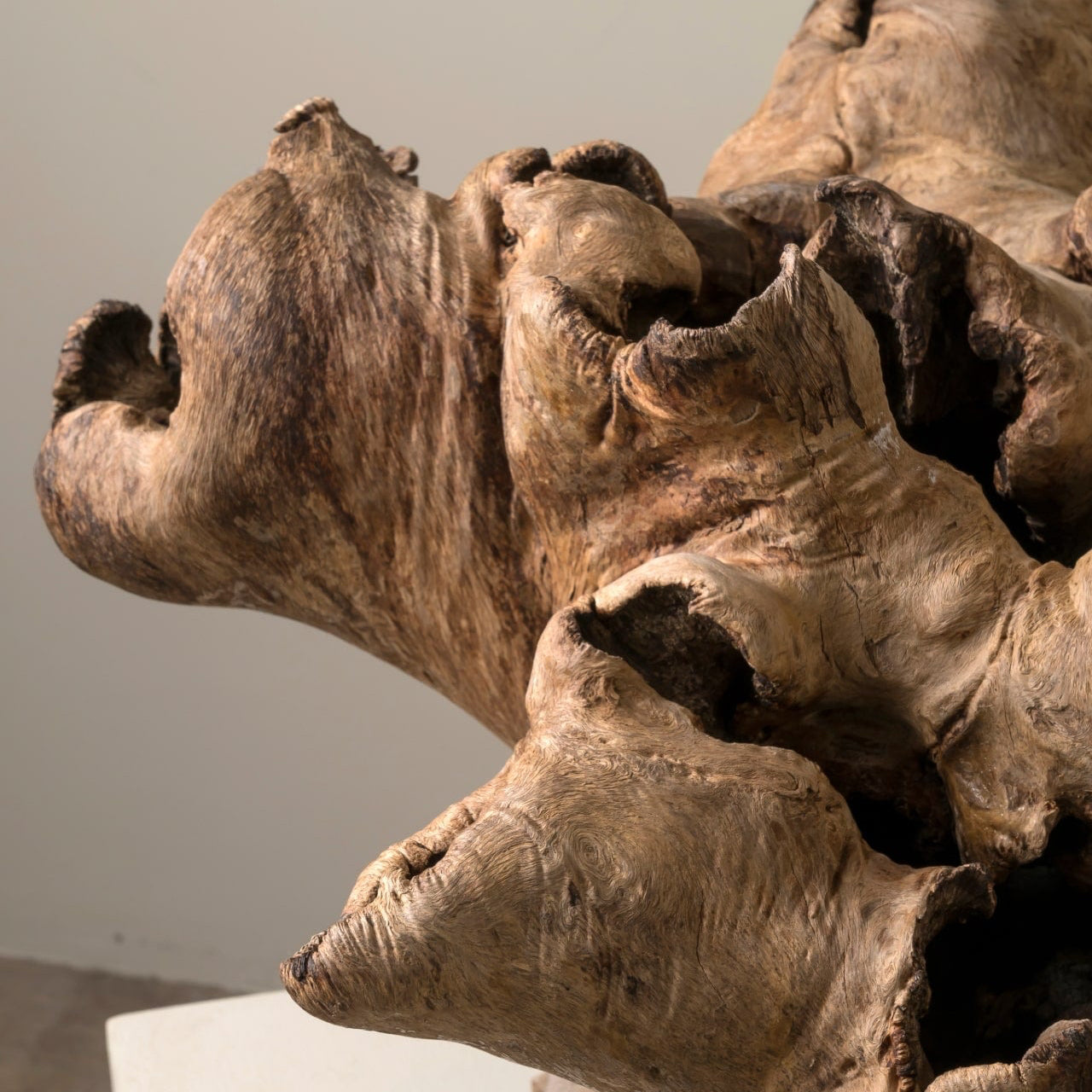 Sculptural Burl Wood Form