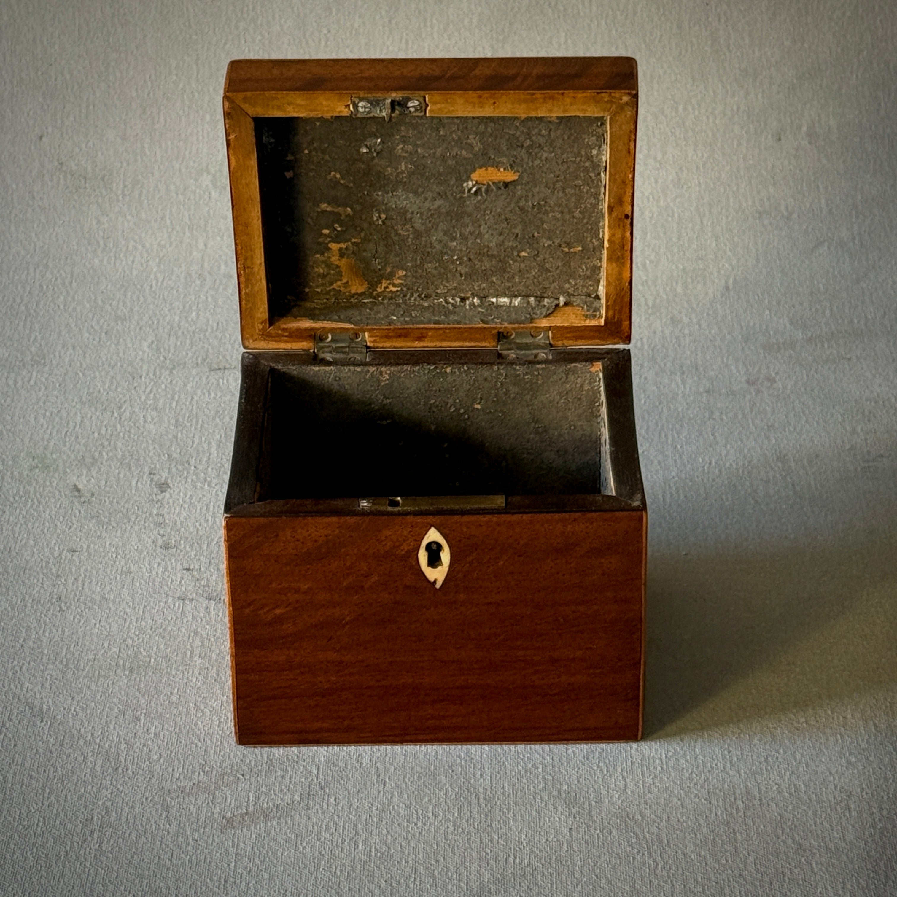 Tea Caddy Box
