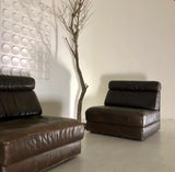 Pair of De Sede Chairs