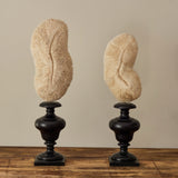 Decorative Objects