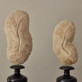 Decorative Objects