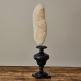 Decorative Objects