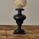 Decorative Objects