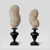 Decorative Objects