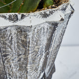 Enameled Planter Pot