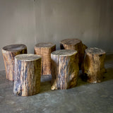 Set of Six Wood Stumps