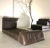 Pair of De Sede Chairs
