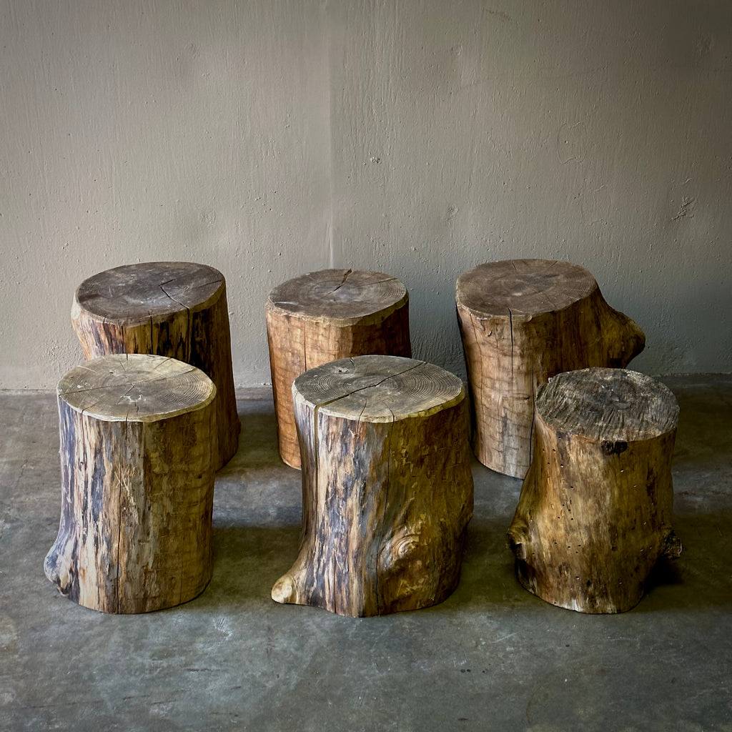 Set of Six Wood Stumps