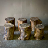 Set of Six Wood Stumps