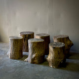 Set of Six Wood Stumps