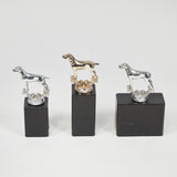 MOUNTED MODELS OF DOGS