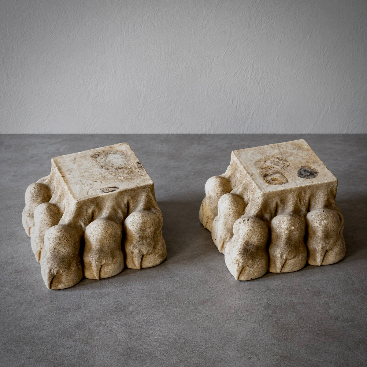 Top view of a Pair of sculptural carved lions paws with organic rounded forms and warm natural patina 
