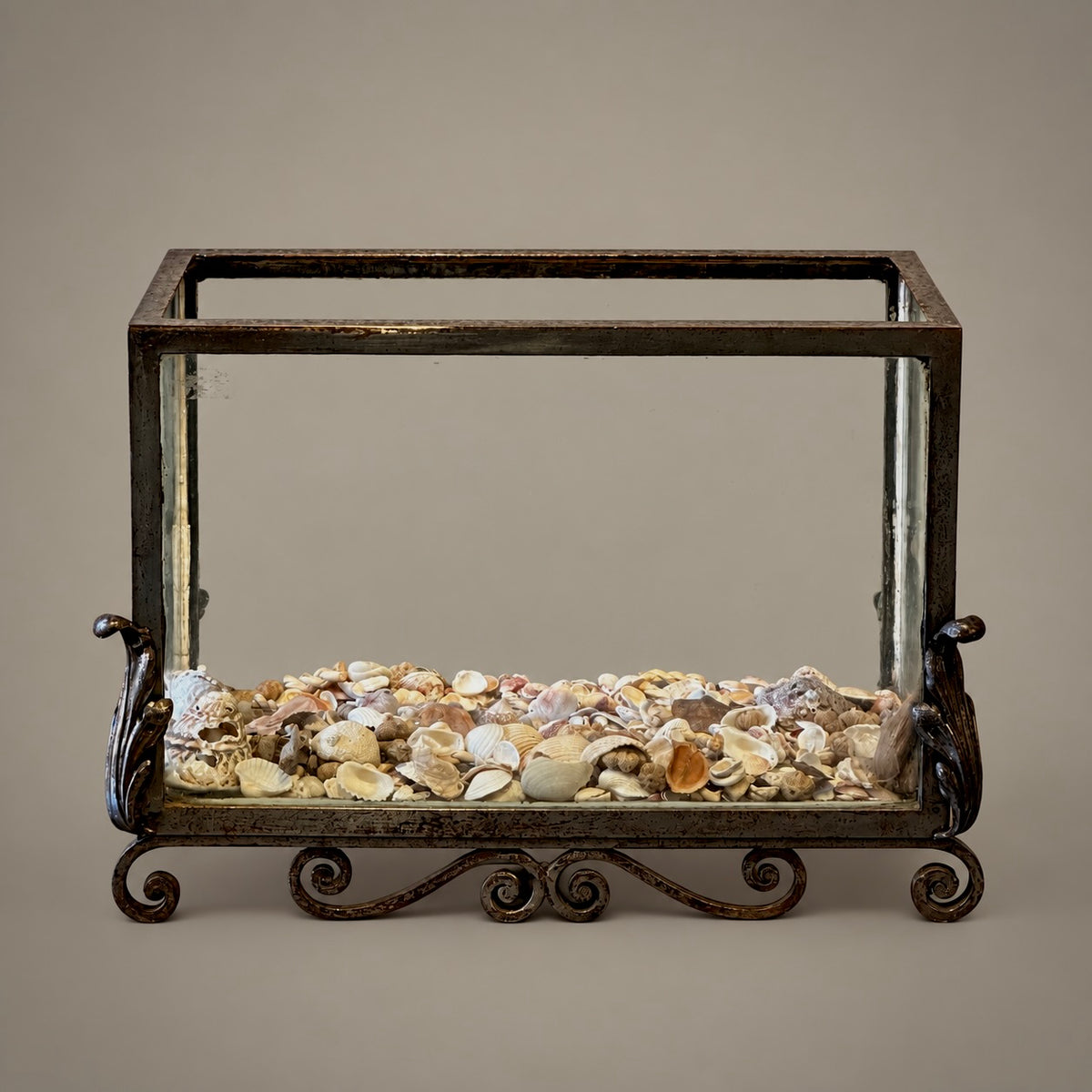 A vintage-style rectangular display case with a dark distressed metal frame, glass sides, and an ornate scroll base, filled with a dense layer of small seashells on a neutral beige background.