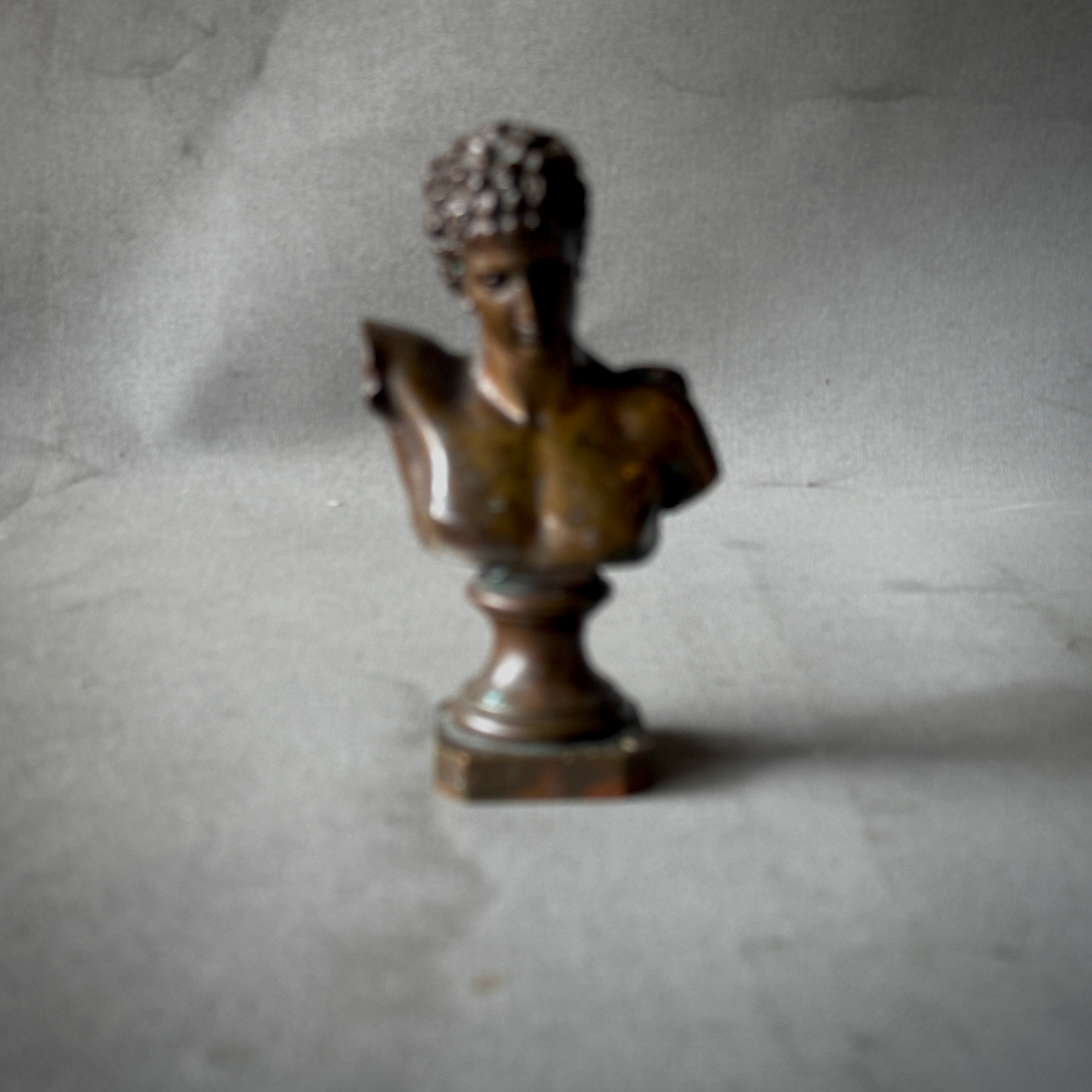 Bronze Bust