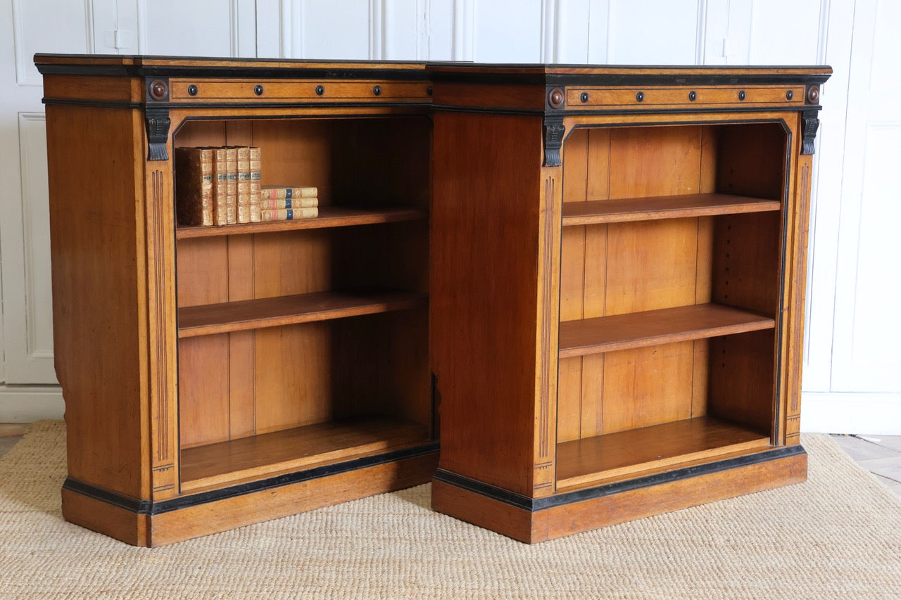 Pair of Bookcases