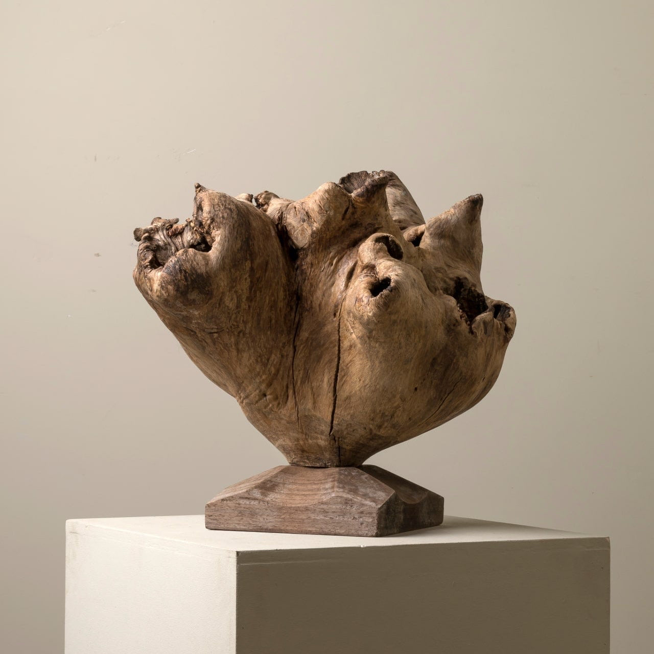 Sculptural Burl Wood Form