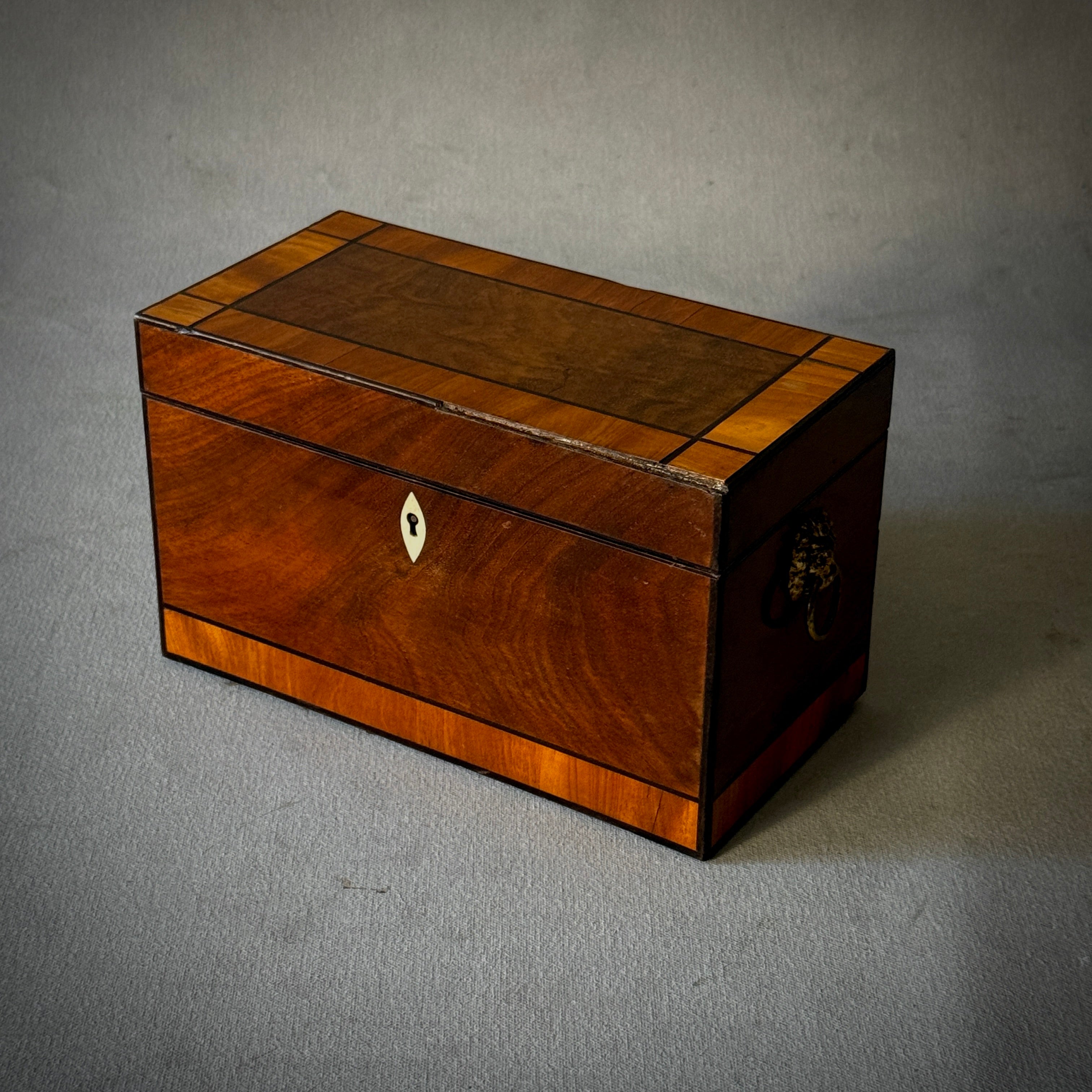 Tea Caddy Box
