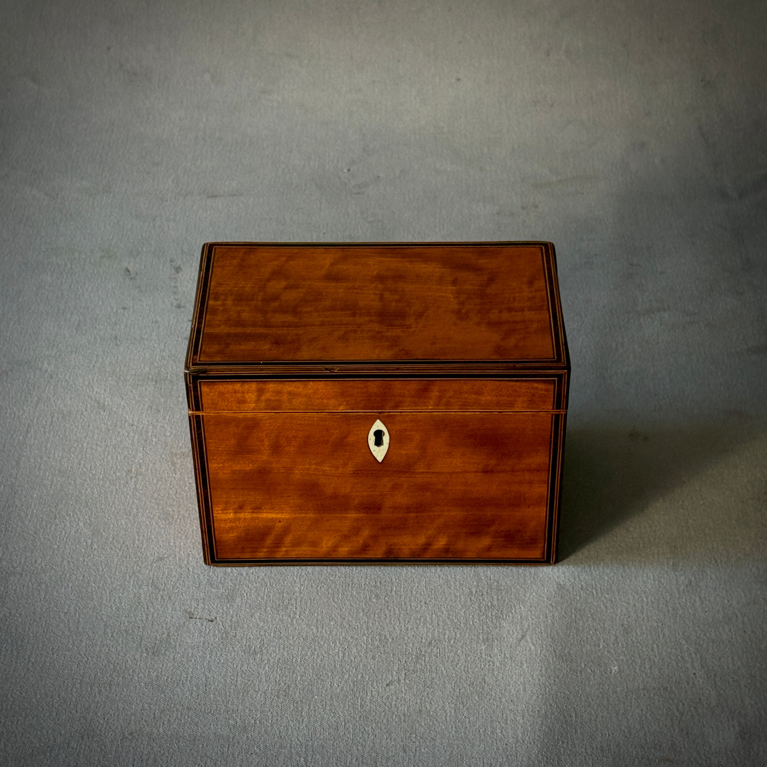Tea Caddy Box