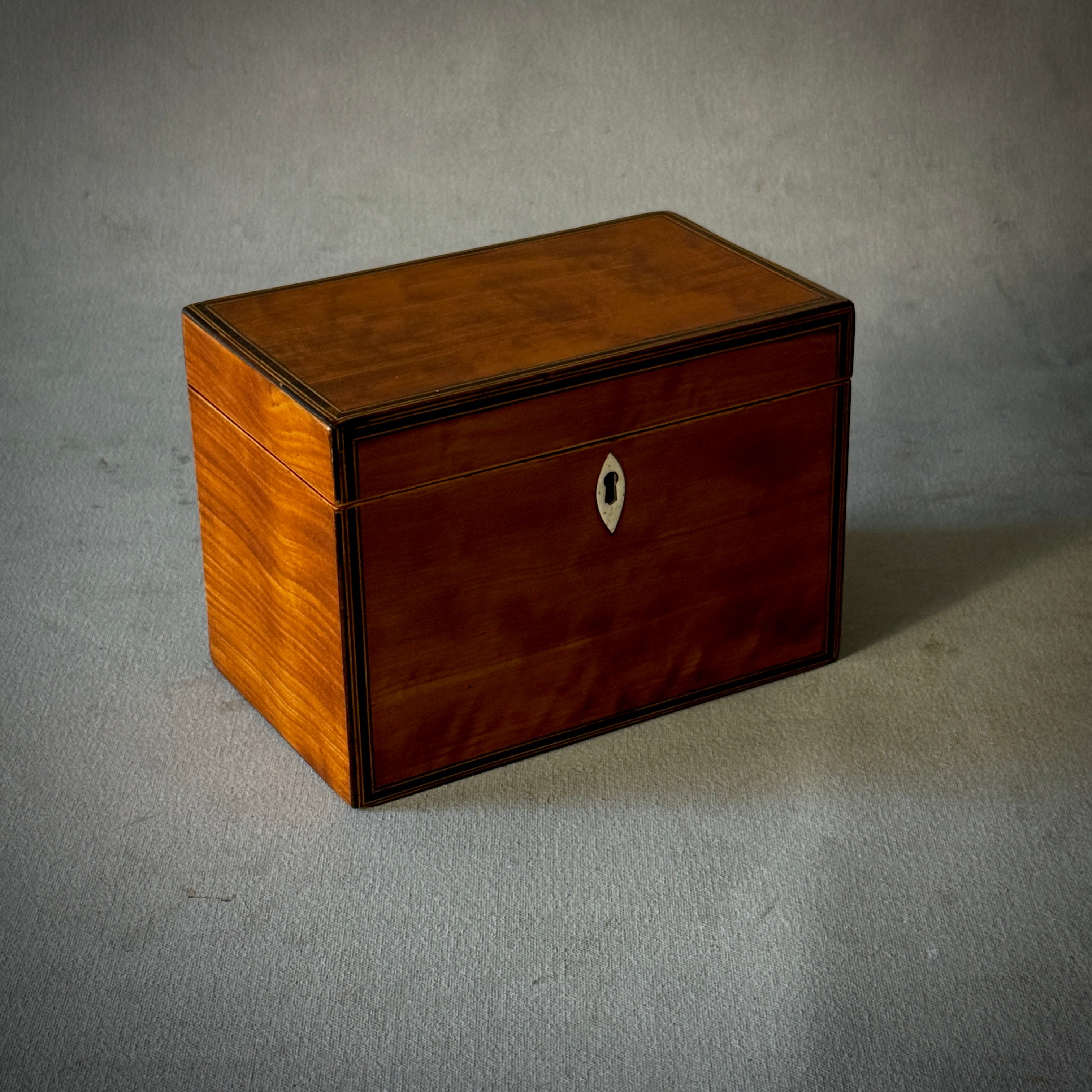 Tea Caddy Box