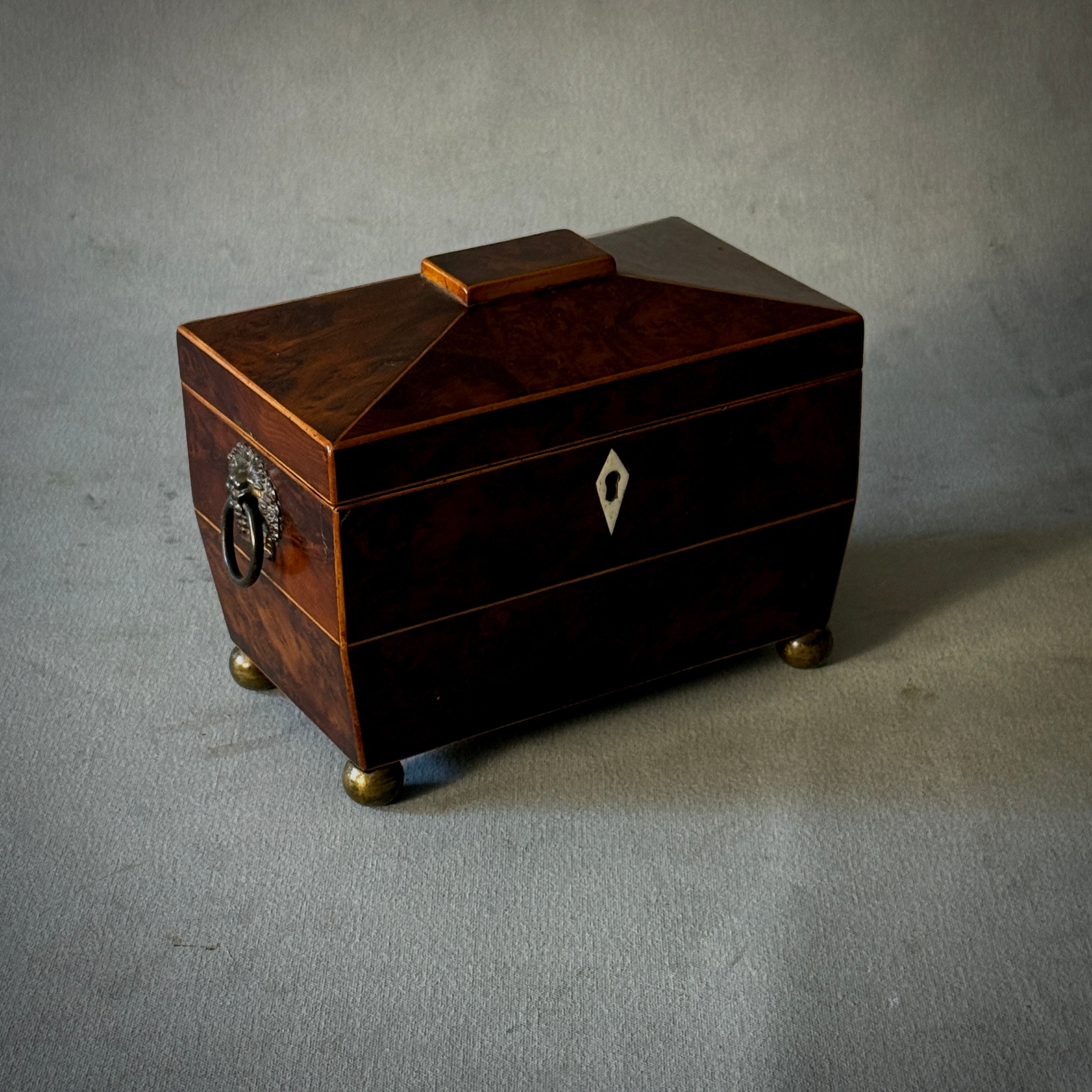 Tea Caddy Box