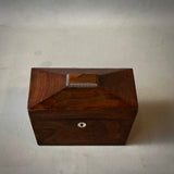 Georgian Rosewood Sarcophagus Tea Caddy Box