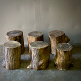 Set of Six Wood Stumps