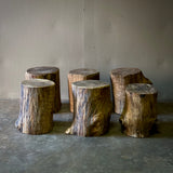 Set of Six Wood Stumps