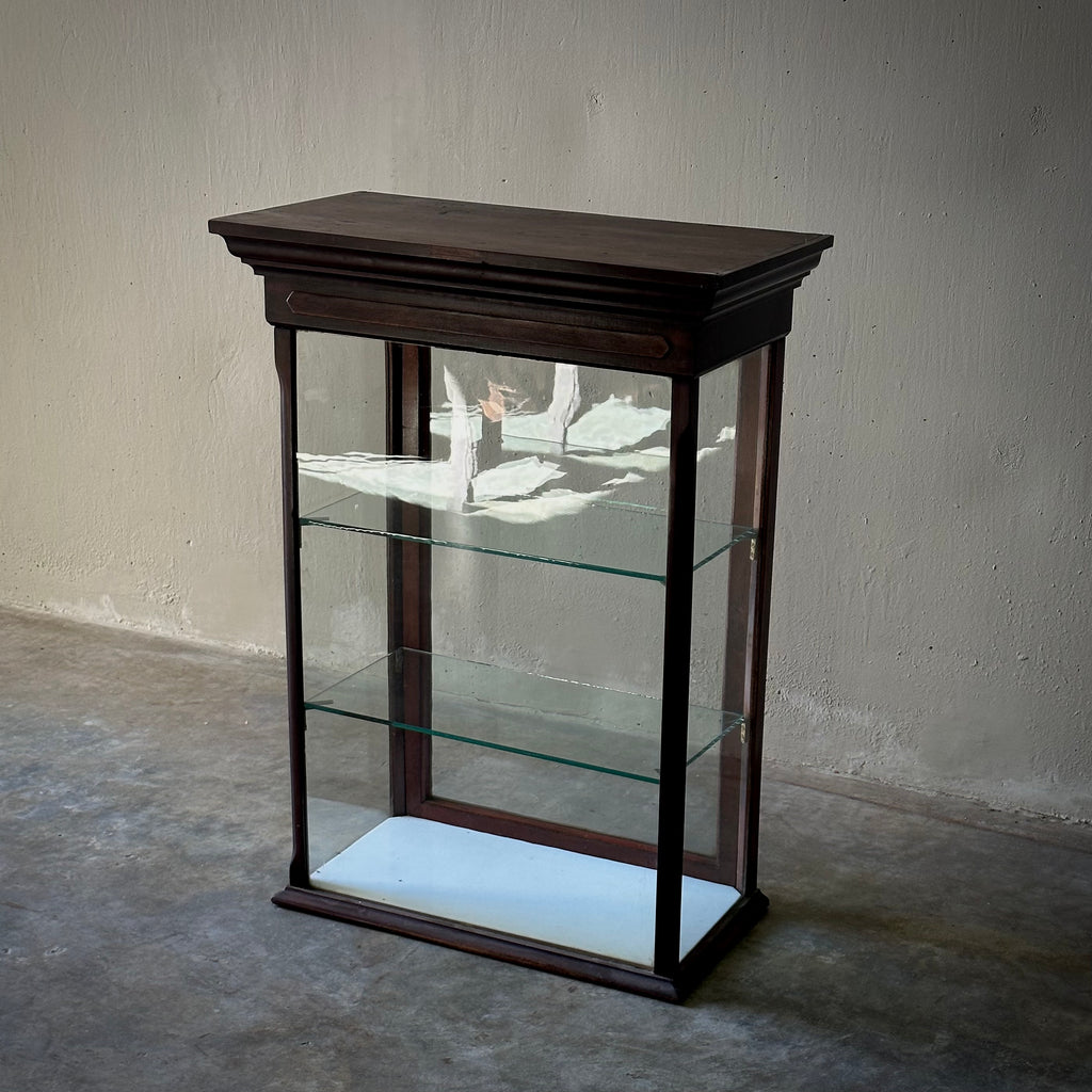 19th Century English Wooden Tabletop Display Case Lee Stanton Antiques