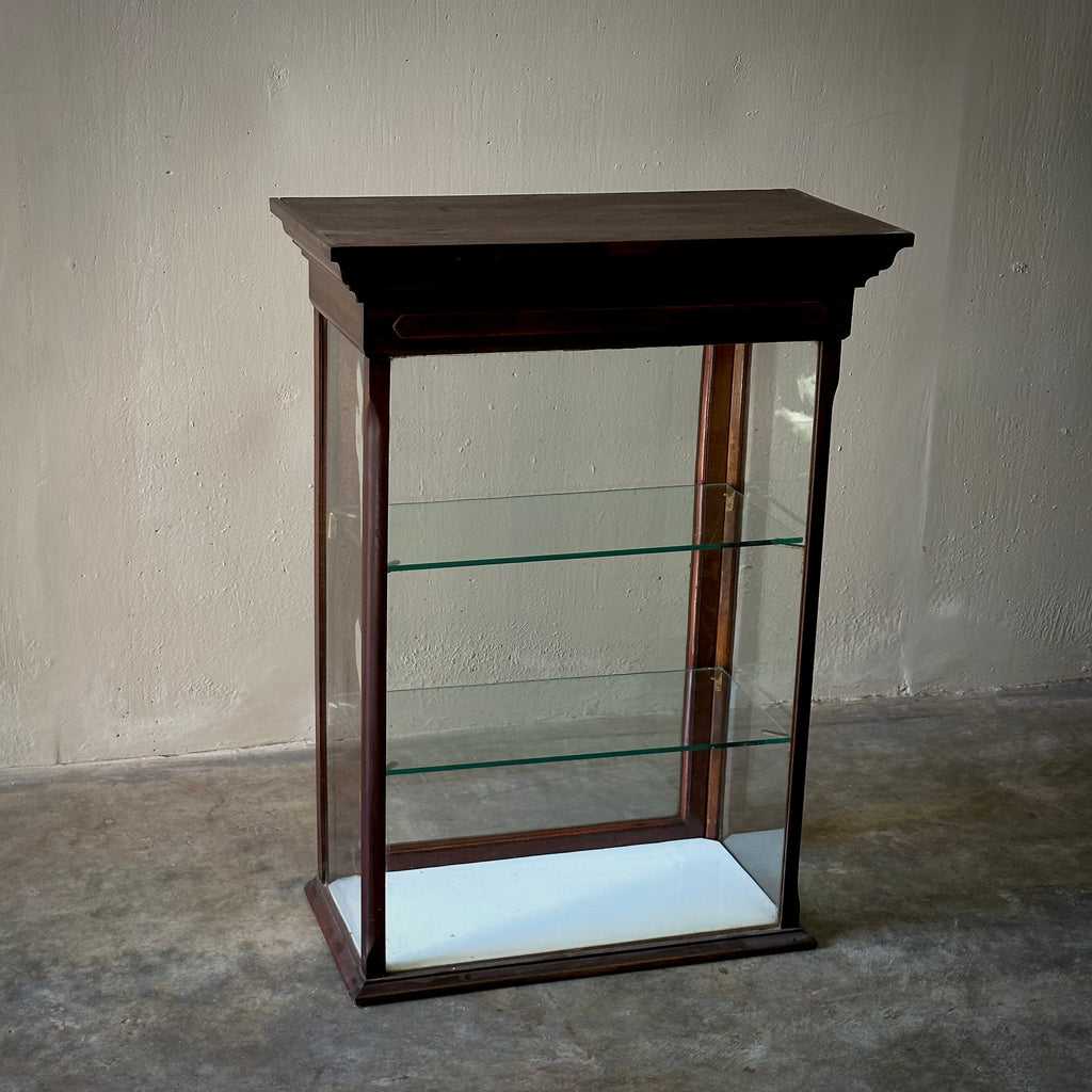 19th Century English Wooden Tabletop Display Case Lee Stanton Antiques